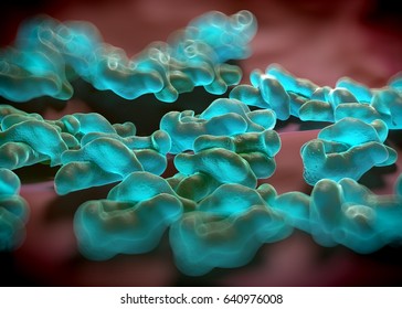 3d Rendering - Campylobacter Jejuni Bacteria