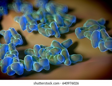 3d Rendering - Campylobacter Jejuni Bacteria