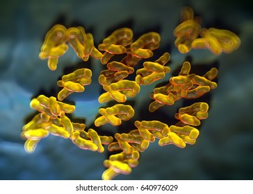 3d Rendering - Campylobacter Jejuni Bacteria