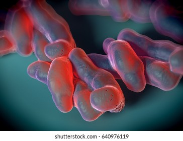 3d Rendering Campylobacter Jejuni Bacteria Stock Illustration 640976119 ...