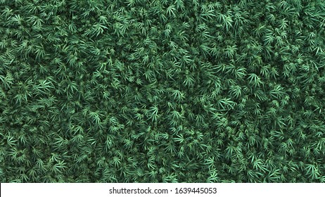 3d rendering of cannabis background