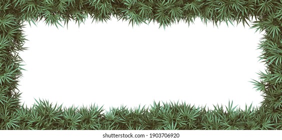 3d rendering of cannabis frame with clipping path