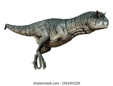 3D Rendering Of A Carnotaurus Sastrei Dinosaur Or Flesh Eating Bull Isolated On White Background