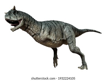 3D Rendering Of A Carnotaurus Sastrei Dinosaur Or Flesh Eating Bull Isolated On White Background