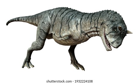 3D Rendering Of A Carnotaurus Sastrei Dinosaur Or Flesh Eating Bull Isolated On White Background