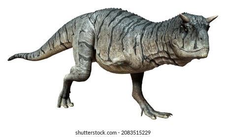 3D Rendering Of A Carnotaurus Sastrei Dinosaur Or Flesh Eating Bull Isolated On White Background