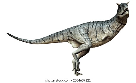 3D Rendering Of A Carnotaurus Sastrei Dinosaur Or Flesh Eating Bull Isolated On White Background