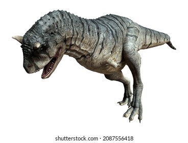 3D Rendering Of A Carnotaurus Sastrei Dinosaur Or Flesh Eating Bull Isolated On White Background