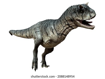 3D Rendering Of A Carnotaurus Sastrei Dinosaur Or Flesh Eating Bull Isolated On White Background