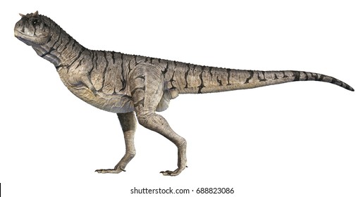 3d Rendering Carnotaurus Sastrei Standing Tall Stock Illustration ...