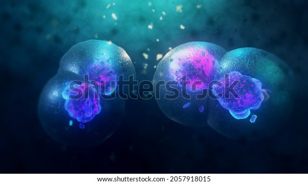 3D Rendering of Cell division under a\
microscope. Cloning Cells. Cell\
mitosis.