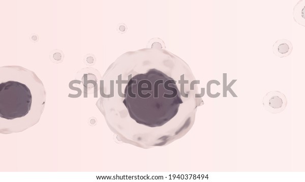 3D Rendering of Cell in human body. Liver\
cells, Brain cells, Muscle cells, Intestinals Cells in human body.\
Cell in White\
background.