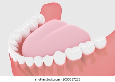 3D rendering of clean dentition