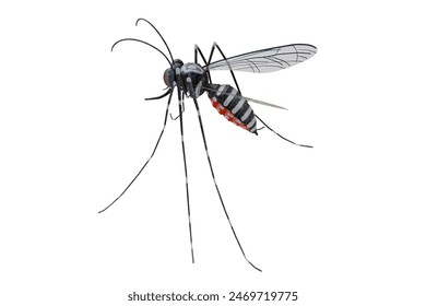 3D rendering of a clear background showing the back view of a stylized Aedes mosquito, preferably the Aedes aegypti type.
