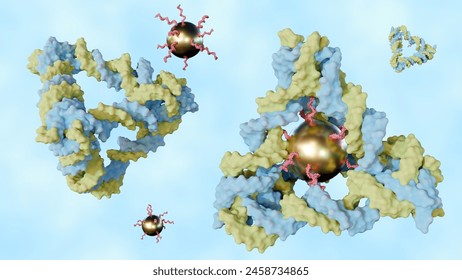 3d rendering of conjugated gold nanoparticles inside of  DNA tetrahedron