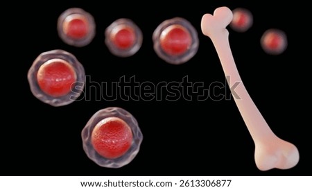 A 3d rendering of connection between hematopoietic stem cells and a femur. it's intended to suggest the potential for red blood cell development.