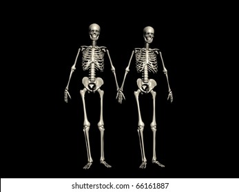 7,038 Walking Skeleton Images, Stock Photos & Vectors | Shutterstock