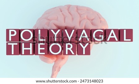 3d rendering of cubes with words "POLYVAGAL THEORY" and human brain. Polyvagal theory is a model that explains how the autonomic nervous system regulates neural activity