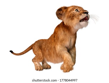 143 3d rendering lion cub Images, Stock Photos & Vectors | Shutterstock