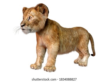 143 3d rendering lion cub Images, Stock Photos & Vectors | Shutterstock