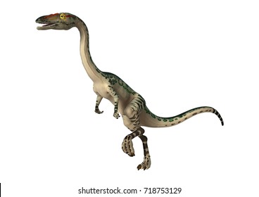 Coelophysis Images Stock Photos Vectors Shutterstock