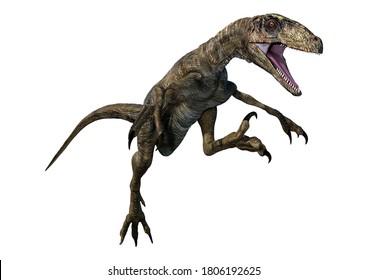 1,158 Deinonychus Images, Stock Photos & Vectors | Shutterstock