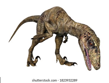 1,158 Deinonychus Images, Stock Photos & Vectors | Shutterstock