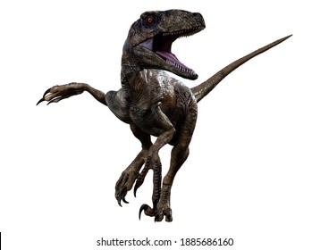 1,158 Deinonychus Images, Stock Photos & Vectors 