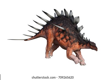 3d Rendering Dinosaur Kentrosaurus Isolated On Stock Illustration ...