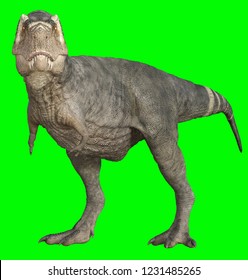 3d rendering dinosaur T