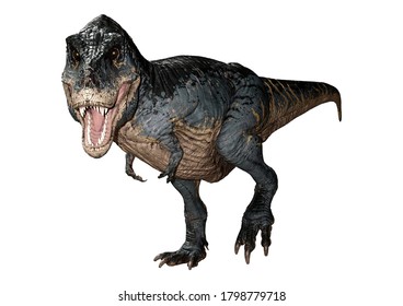 Tyrannosaurus Rex Eating Struthiomimus Colored Line Stock Illustration 