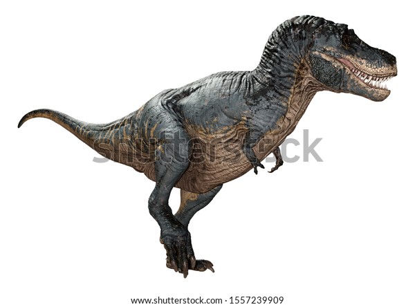 白い背景に恐竜のティラノサウルスの3dレンダリング のイラスト素材
