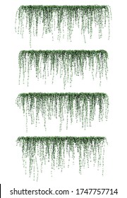 3d rendering of Dischidia hanging plants