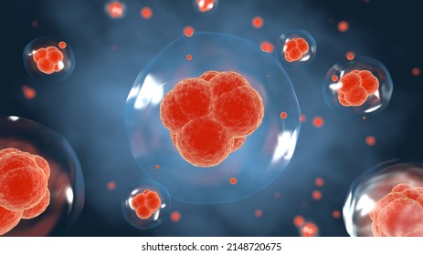 3D Rendering ，Cell Division Process