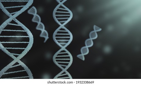 The 3D rendering DNA structure of human for clone life biotechnology gene.