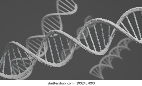 3D Rendering DNA Structure Of Human For Clone Life Bio Technology Gene. Close Up Molecular Of Human Life Of Biochemistry Concept.