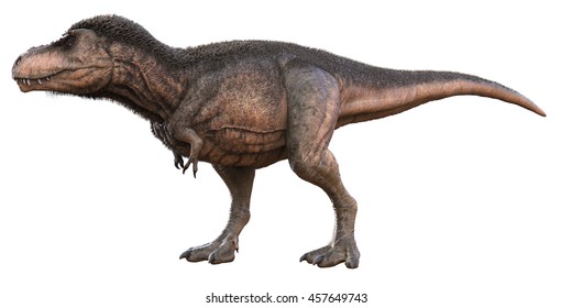 188 T rex feathers Images, Stock Photos & Vectors | Shutterstock