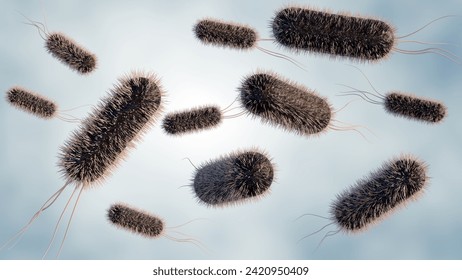 3d rendering of E. coli distribution at the microscopic level