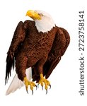 3D Rendering Eagle Bird on White	