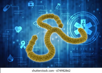 3d Rendering Ebola Virus