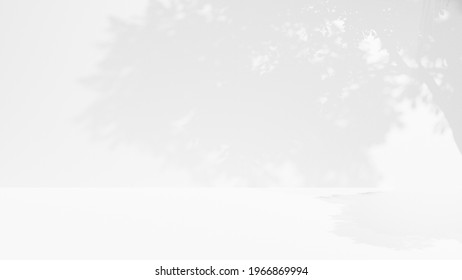 3D Rendering Of Empty White Wall With Shadow From Tree Leaves. Blank Pedestal Area For Product Display Or Background