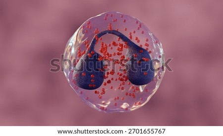 A 3d rendering of Eosinophils are a type of white blood cell or leukocyte, typically have a bi-lobed nucleus and large, bright red or pink granules in the cytoplasm.