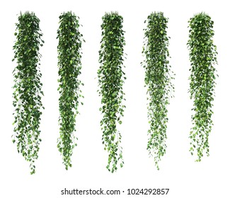 57,171 Hanging vines Images, Stock Photos & Vectors | Shutterstock