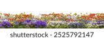 3d Rendering Evergreen flowers and grass field in nature, Flowres on garden in springtime, Tropical forest isolated on white background