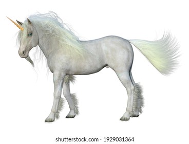 Cheval Blanc Sur Fond High Res Stock Images Shutterstock