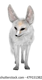 3d Rendering Fennec Fox Isolated On Stock Illustration 479151382 ...