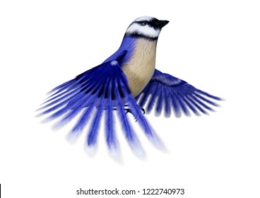 Florida Blue Jay Images Stock Photos Vectors Shutterstock