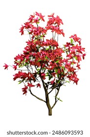 3D rendering of a flowering deciduous azalea bush isolated on white background
