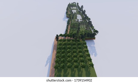 3D rendering of forest tree 