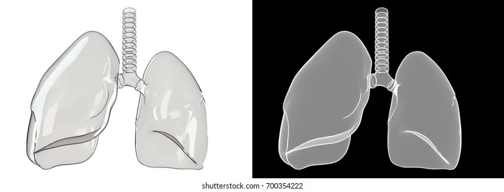 A 3D Rendering Of A Glass Lung.